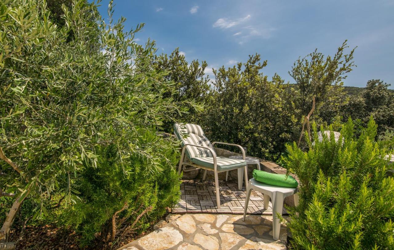 הוילה Miholascica Hacienda Babina מראה חיצוני תמונה